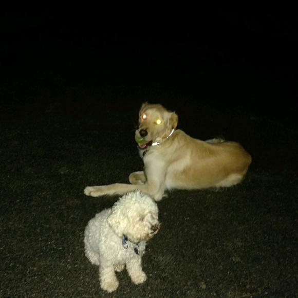 Meet your Posher, Terry - Picture 1 of 1